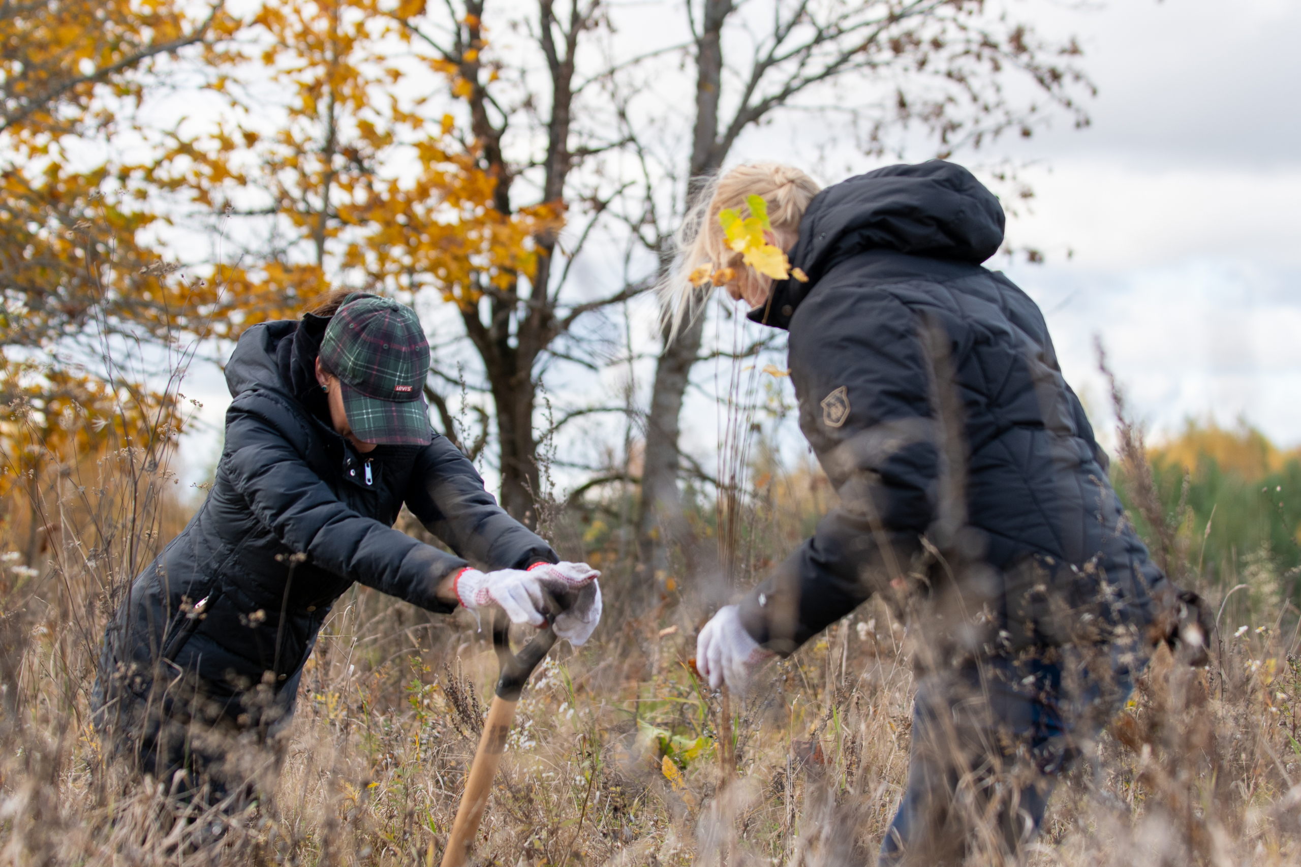 Davines Giraitė 2023